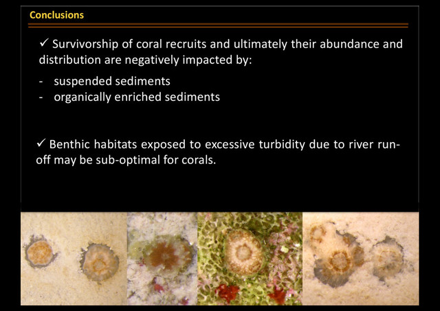 Conclusions
ü Survivorship of coral recruits and ultimately their abundance and
distribution are negatively impacted by:
- suspended sediments
- organically enriched sediments
ü Benthic habitats exposed to excessive turbidity due to river run-
off may be sub-optimal for corals.
