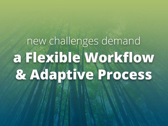 new challenges demand
a Flexible Workﬂow
& Adaptive Process
