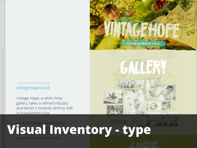 Visual Inventory - type
