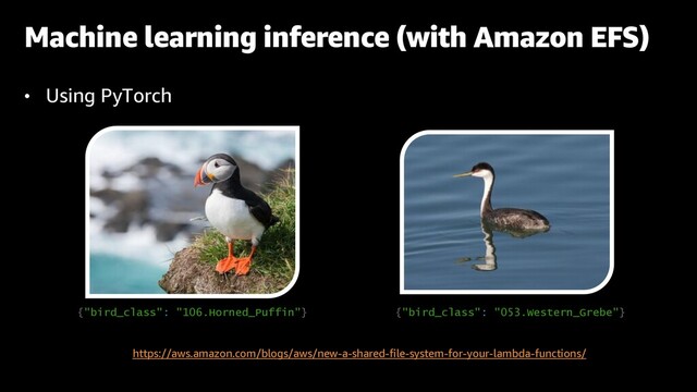 • Using PyTorch
Machine learning inference (with Amazon EFS)
{"bird_class": "106.Horned_Puffin"} {"bird_class": "053.Western_Grebe"}
https://aws.amazon.com/blogs/aws/new-a-shared-file-system-for-your-lambda-functions/
