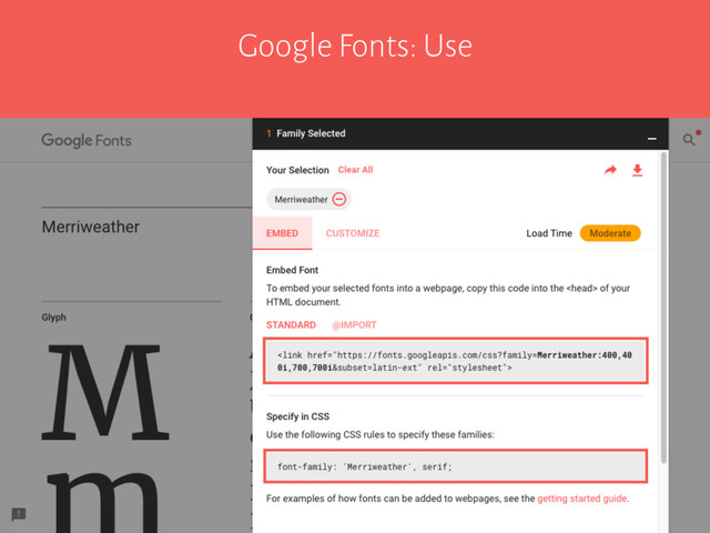 Google Fonts: Use
