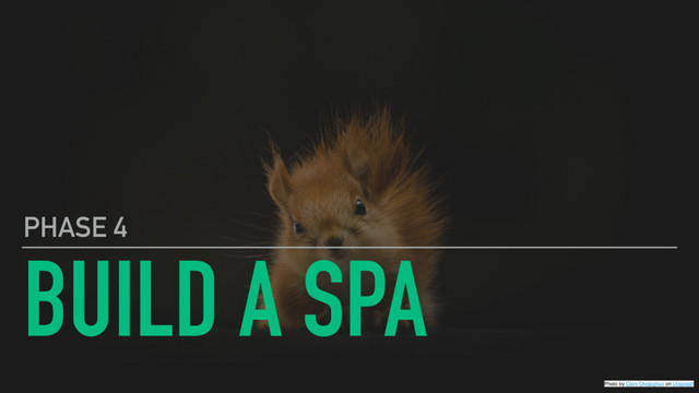 BUILD A SPA
PHASE 4
Photo by Clem Onojeghuo on Unsplash
