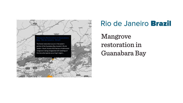 Rio de Janeiro Brazil
Mangrove
restoration in
Guanabara Bay
