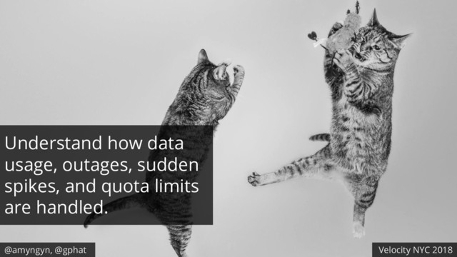@amyngyn, @gphat Velocity NYC 2018
Understand how data
usage, outages, sudden
spikes, and quota limits
are handled.
@amyngyn, @gphat Velocity NYC 2018
