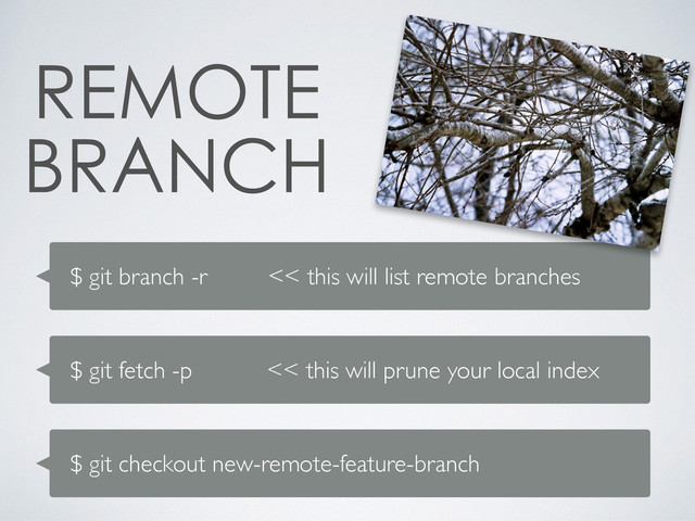 $ git branch -r << this will list remote branches
$ git fetch -p << this will prune your local index


$ git checkout new-remote-feature-branch
