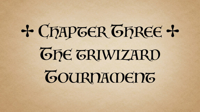 ✢ CHAPTER THREE ✢
THE TRIWIZARD
TOURNAMENT
