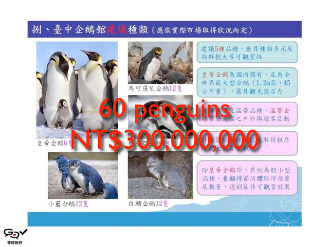 60 penguins
NT$300,000,000
