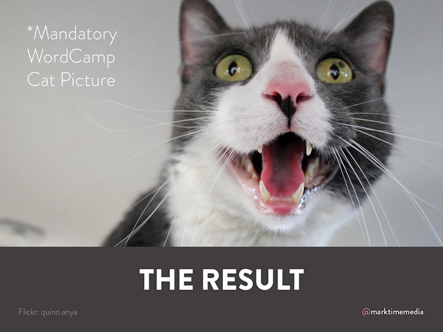 @marktimemedia
THE RESULT
Flickr: quinn.anya
*Mandatory
WordCamp
Cat Picture
