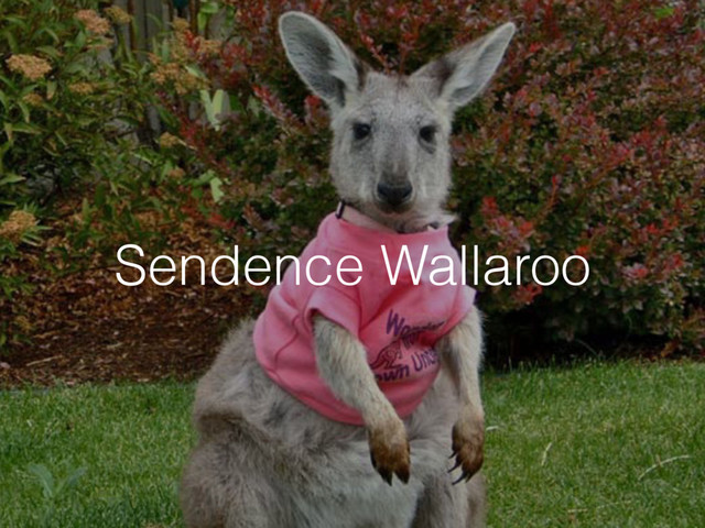 Sendence Wallaroo
