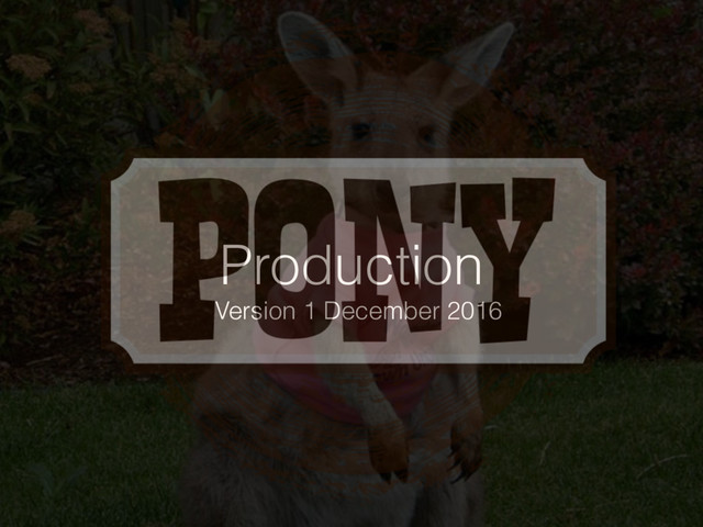 Version 1 December 2016
Production
