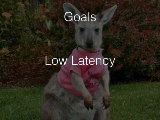 Low Latency
Goals
