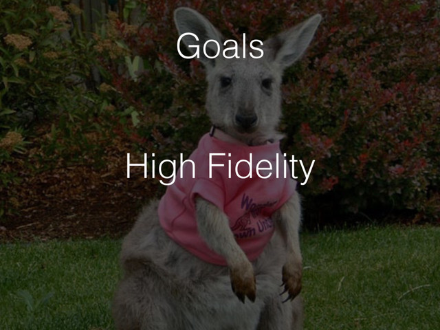 High Fidelity
Goals
