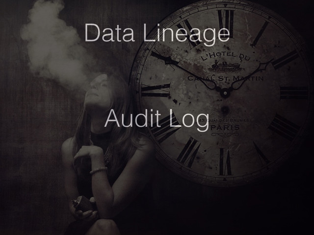 Data Lineage
Audit Log
