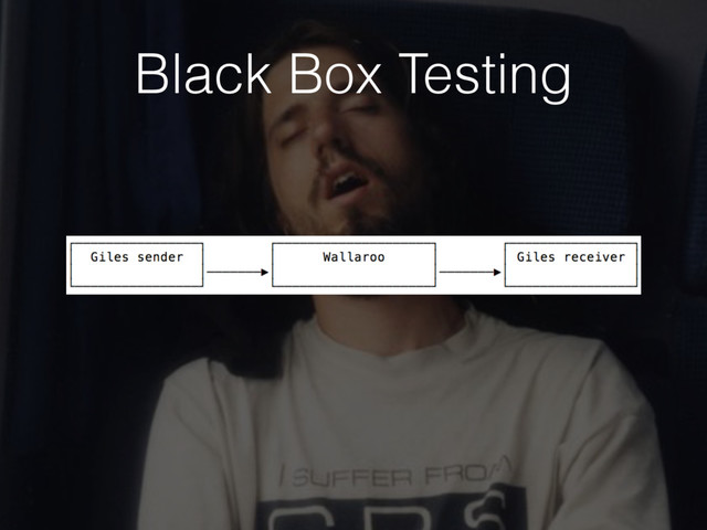 Black Box Testing
