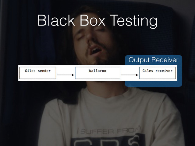 Output Receiver
Black Box Testing
