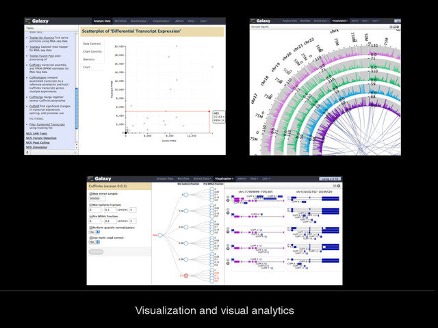 Visualization and visual analytics

