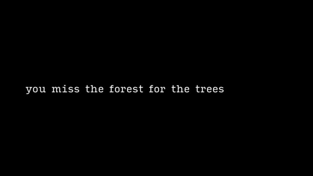 you miss the forest for the trees
