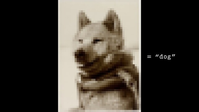 = “dog”
