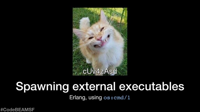 Spawning external executables
Erlang, using os:cmd/1
#CodeBEAMSF
