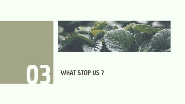 WHAT STOP US ?
03
