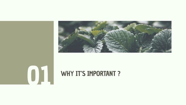 WHY IT’S IMPORTANT ?
01
