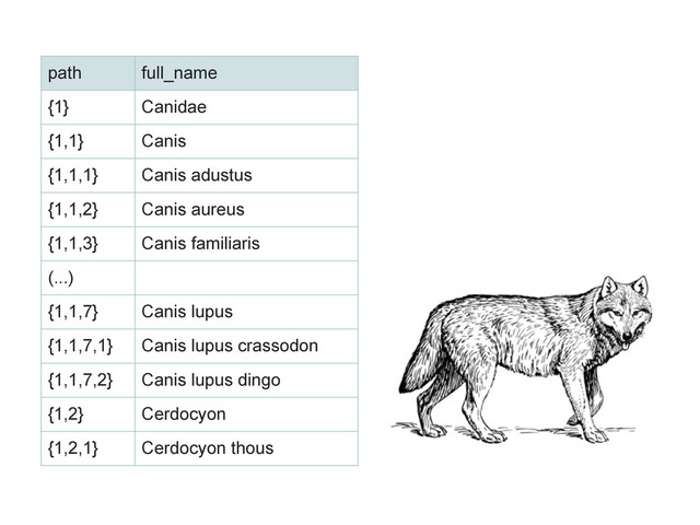 path full_name
{1} Canidae
{1,1} Canis
{1,1,1} Canis adustus
{1,1,2} Canis aureus
{1,1,3} Canis familiaris
(...)
{1,1,7} Canis lupus
{1,1,7,1} Canis lupus crassodon
{1,1,7,2} Canis lupus dingo
{1,2} Cerdocyon
{1,2,1} Cerdocyon thous
