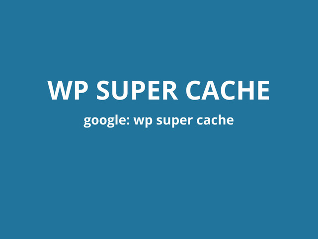 WP SUPER CACHE
google: wp super cache
