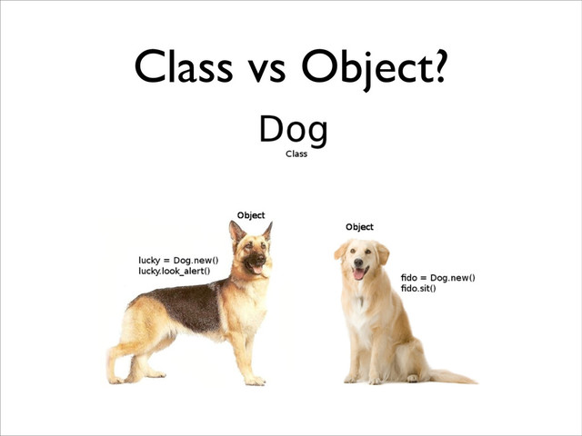 Class vs Object?
