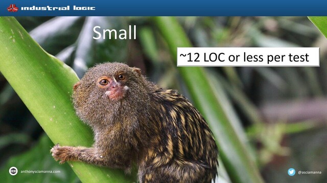 Small
~12 LOC or less per test
@asciamanna
anthonysciamanna.com

