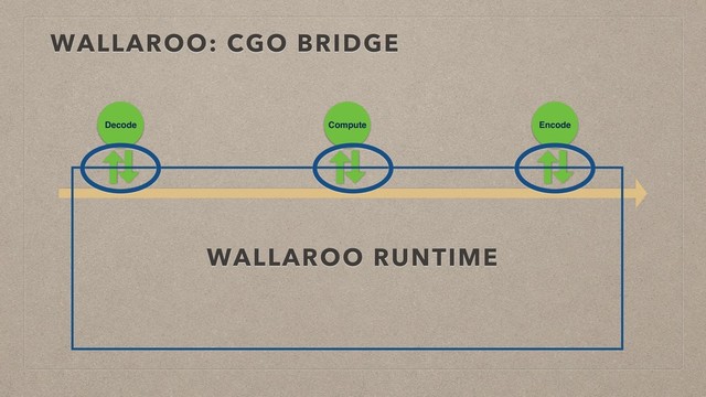 WALLAROO: CGO BRIDGE
Decode Compute Encode
WALLAROO RUNTIME
