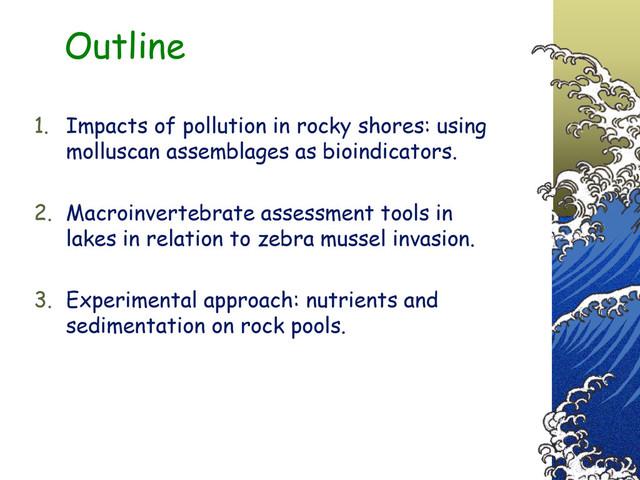 Outline
1. Impacts of pollution in rocky shores: using
molluscan assemblages as bioindicators.
2. Macroinvertebrate assessment tools in
lakes in relation to zebra mussel invasion.
3. Experimental approach: nutrients and
sedimentation on rock pools.

