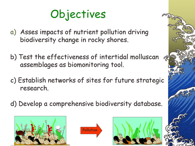 Objectives
a) Asses impacts of nutrient pollution driving
biodiversity change in rocky shores.
b) Test the effectiveness of intertidal molluscan
assemblages as biomonitoring tool.
c) Establish networks of sites for future strategic
research.
d) Develop a comprehensive biodiversity database.
Pollution

