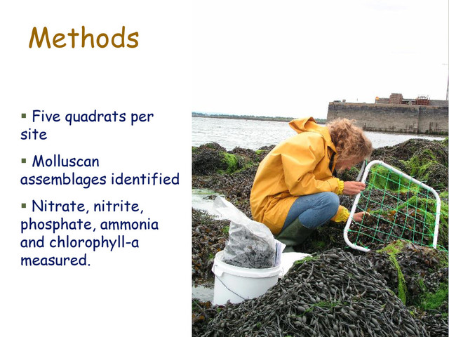  Five quadrats per
site
 Molluscan
assemblages identified
 Nitrate, nitrite,
phosphate, ammonia
and chlorophyll-a
measured.
Methods
