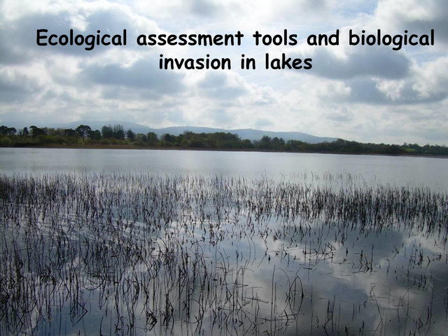 Ecological assessment tools and biological
invasion in lakes
