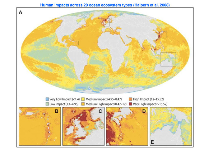 Human impacts across 20 ocean ecosystem types (Halpern et al. 2008)
