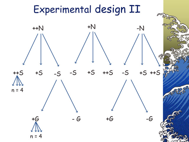Experimental design II
+G +G
- G -G
n = 4
++N +N -N
++S ++S
++S
+S -S -S
-S +S +S
n = 4
