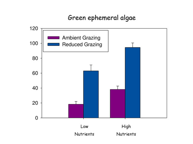 0
20
40
60
80
100
120
Ambient Grazing
Reduced Grazing
Green ephemeral algae
Low
Nutrients
High
Nutrients
