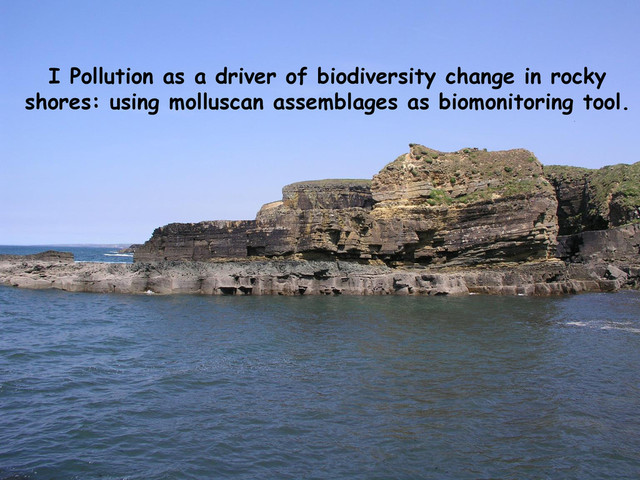 I Pollution as a driver of biodiversity change in rocky
shores: using molluscan assemblages as biomonitoring tool.
