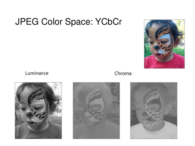 JPEG Color Space: YCbCr
Luminance Chroma
