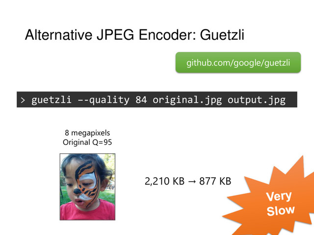 Alternative JPEG Encoder: Guetzli
> guetzli –-quality 84 original.jpg output.jpg
github.com/google/guetzli
2,210 KB → 877 KB
8 megapixels
Original Q=95
