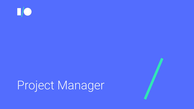 Project Manager
