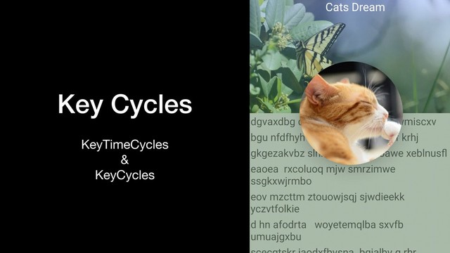 Key Cycles
KeyTimeCycles

&

KeyCycles
