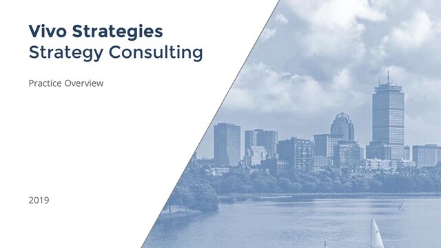Vivo Strategies
Strategy Consulting
Practice Overview
2019
