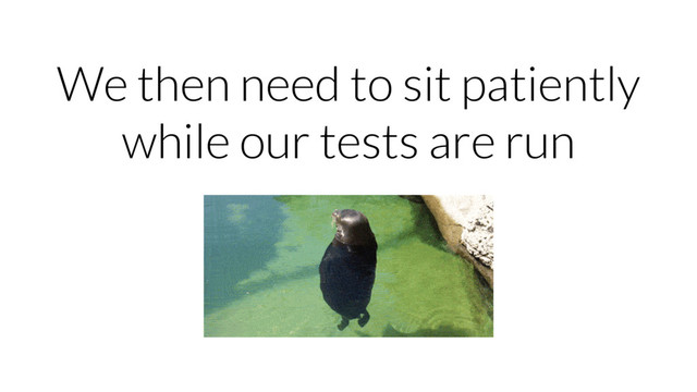 We then need to sit patiently
while our tests are run
