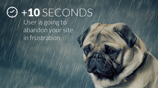 +10 SECONDS
User is going to
abandon your site
in frustration
