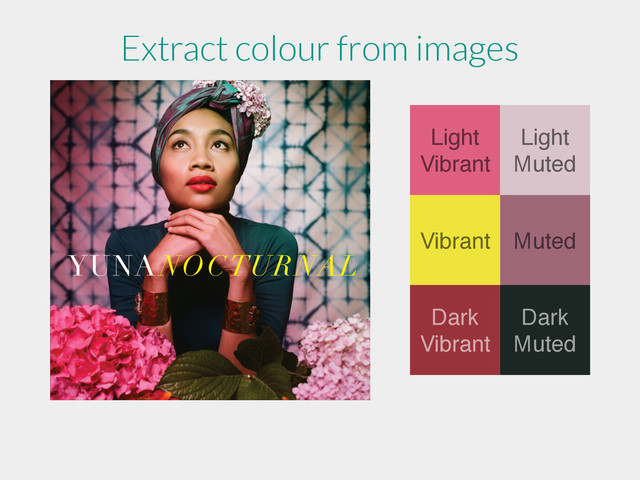 Light
Vibrant
Light
Muted
Muted
Vibrant
Dark
Muted
Dark
Vibrant
Extract colour from images
