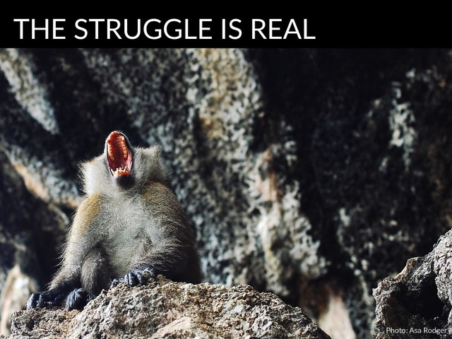Photo: Asa Rodger
THE STRUGGLE IS REAL
