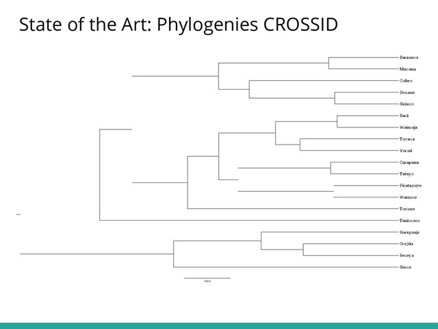 State of the Art: Phylogenies CROSSID
