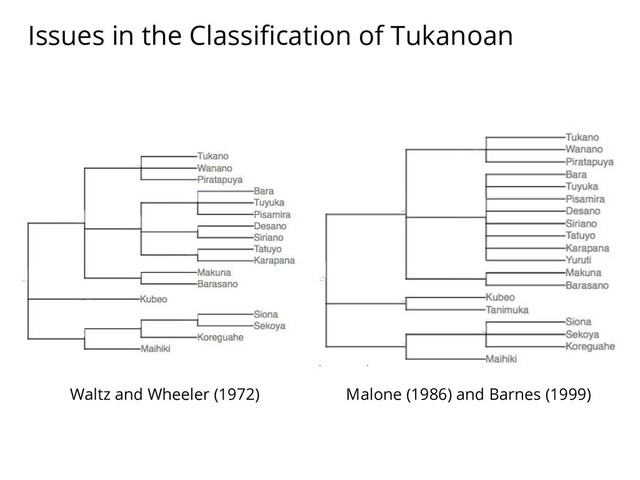 Waltz and Wheeler (1972) Malone (1986) and Barnes (1999)
Issues in the Classiﬁcation of Tukanoan
