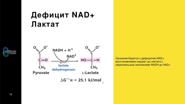 13
Дефицит NAD+
Лактат
Организм борется с дефицитом NAD+,
восстанавливая пируват до лактата с
параллельным окислением NADH до NAD+
